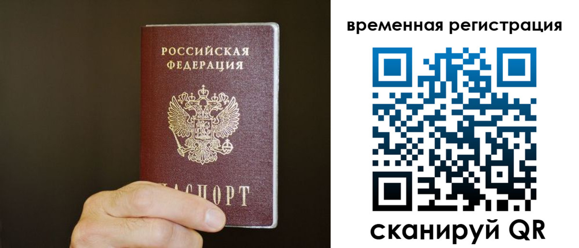 прописка гарантия в Шали